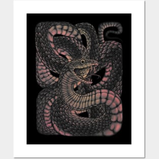 Snake in a Box Posters and Art